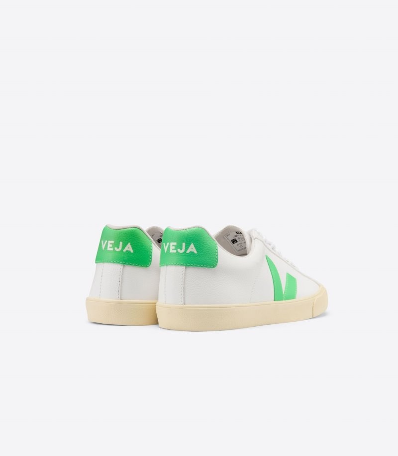 Mens Veja Esplar Chromefree Trainers White / Green KSA | DXX-8277